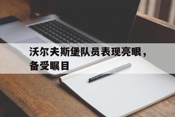 沃尔夫斯堡队员表现亮眼，备受瞩目